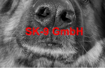SK-9 GmbH