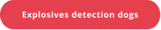Explosives detection dogs