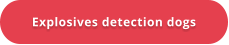 Explosives detection dogs