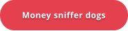 Money sniffer dogs
