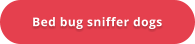 Bed bug sniffer dogs