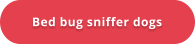 Bed bug sniffer dogs