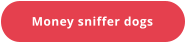 Money sniffer dogs