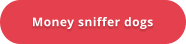 Money sniffer dogs