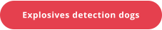 Explosives detection dogs
