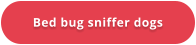 Bed bug sniffer dogs