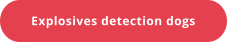 Explosives detection dogs