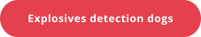 Explosives detection dogs