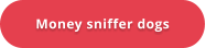 Money sniffer dogs
