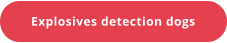 Explosives detection dogs