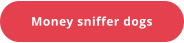 Money sniffer dogs