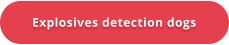 Explosives detection dogs