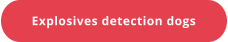 Explosives detection dogs