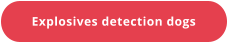 Explosives detection dogs