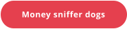 Money sniffer dogs