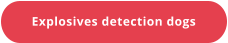 Explosives detection dogs