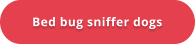 Bed bug sniffer dogs