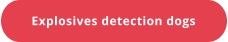 Explosives detection dogs