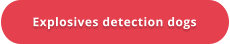 Explosives detection dogs