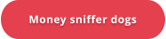 Money sniffer dogs
