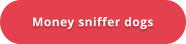 Money sniffer dogs