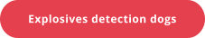 Explosives detection dogs