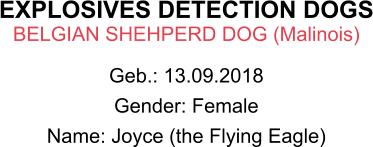 EXPLOSIVES DETECTION DOGS BELGIAN SHEHPERD DOG (Malinois)  Geb.: 13.09.2018 Gender: Female Name: Joyce (the Flying Eagle)