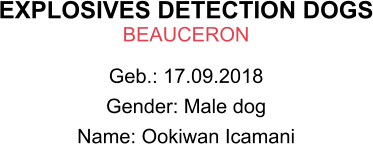 EXPLOSIVES DETECTION DOGS BEAUCERON Geb.: 17.09.2018 Gender: Male dog Name: Ookiwan Icamani