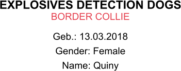 EXPLOSIVES DETECTION DOGS BORDER COLLIE Geb.: 13.03.2018 Gender: Female Name: Quiny