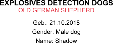 EXPLOSIVES DETECTION DOGS OLD GERMAN SHEPHERD Geb.: 21.10.2018 Gender: Male dog Name: Shadow