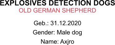 EXPLOSIVES DETECTION DOGS OLD GERMAN SHEPHERD Geb.: 31.12.2020 Gender: Male dog Name: Axjro