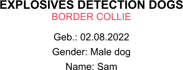 EXPLOSIVES DETECTION DOGS BORDER COLLIE Geb.: 02.08.2022 Gender: Male dog Name: Sam