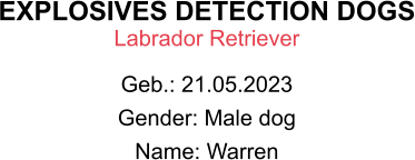 EXPLOSIVES DETECTION DOGS Labrador Retriever Geb.: 21.05.2023 Gender: Male dog Name: Warren