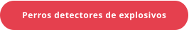 Perros detectores de explosivos
