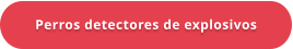 Perros detectores de explosivos