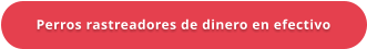 Perros rastreadores de dinero en efectivo