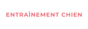 ENTRAÎNEMENT CHIEN