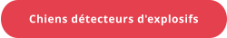 Chiens détecteurs d'explosifs