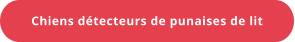Chiens détecteurs de punaises de lit