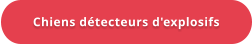 Chiens détecteurs d'explosifs