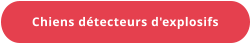 Chiens détecteurs d'explosifs