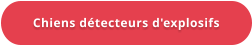 Chiens détecteurs d'explosifs