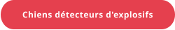 Chiens détecteurs d'explosifs