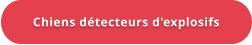 Chiens détecteurs d'explosifs