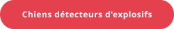Chiens détecteurs d'explosifs
