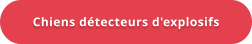 Chiens détecteurs d'explosifs