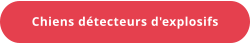 Chiens détecteurs d'explosifs