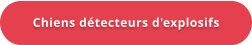 Chiens détecteurs d'explosifs