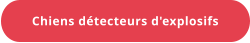 Chiens détecteurs d'explosifs