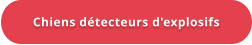 Chiens détecteurs d'explosifs